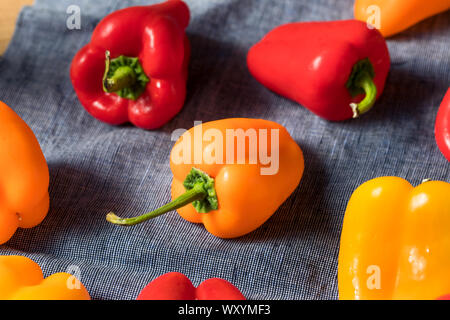 Raw bunte Mini Paprika in einem Bündel Stockfoto