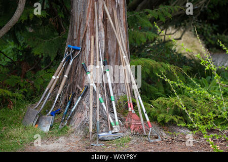 Eine Vielzahl von Tools lehnen sich gegen einen Baum in der Christchurch Botanischer Gärten, bereit für die Gärtner verwenden Stockfoto