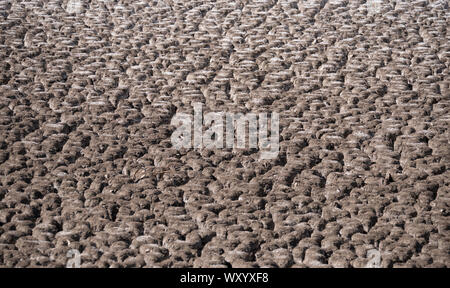 Ausgetrockneten See Bett mit rissig trockener Boden in Dürre in New South Wales, Australien Stockfoto