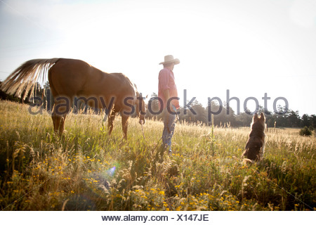 Single mann mit pferd