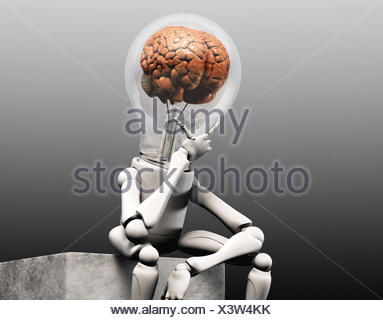 Licht Im Bild Achim Stein