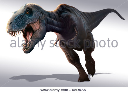 Tyrannosaurus Rex ist wohl der bekannteste Dinosaurier aller. Er lebte w\u00e4hrend der letzten 5 