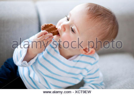 14 Monate Altes Baby Essen Cookie Stockfotografie Alamy