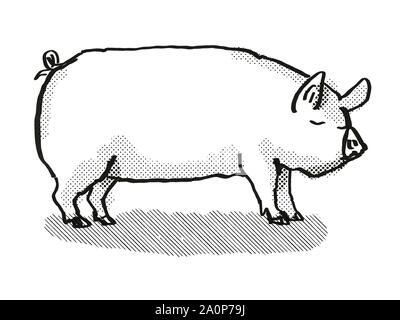 Estilo retro caricatura dibujo de una cerda blanca central o el jabalí, un cerdo raza visto lateralmente sobre fondo blanco aislado realizado en blanco y negro Foto de stock
