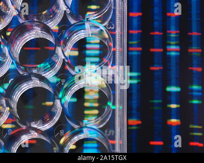 La investigación sobre el ADN, las muestras de ADN en una placa de pocillos múltiples preparadas para el análisis con resultados de ADN en el fondo Foto de stock