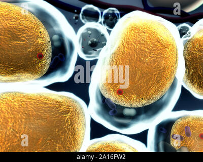 Grupo de células vivas bajo el microscopio, campo de células de grasa, de alta calidad en 3D Render de celdas, campo de células, la estructura de la molécula, la estructura celular