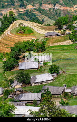 Terrazas de arroz y casas en Hoang Su Phi, provincia de Ha Giang en la parte noroeste de Vietnam. Foto de stock