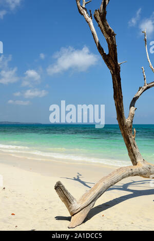 Kala Patthat Playa, Havelock Island, en las islas Andaman y Nicobar, India Foto de stock