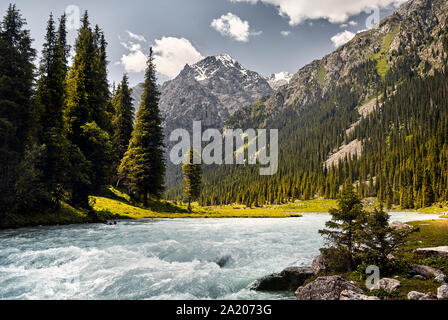 Karakol River en el valle de montaña con grandes pinos y pico nevado en Karakol, parque nacional de Kirguistán