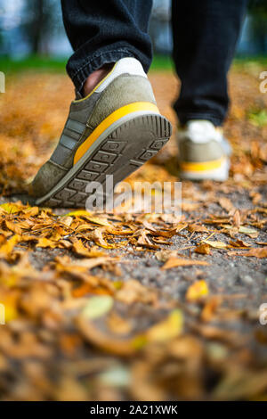 Caminar sobre el pavimento en otoño. Vista posterior de los pies de un hombre que camina por la acera con follaje caído. El clima de otoño en blanco vacío abstracto backgro Foto de stock