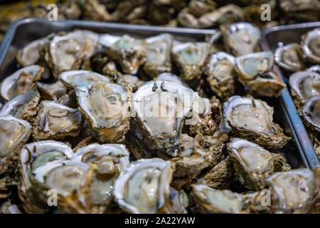 Antecedentes de ostras frescas del mercado Foto de stock