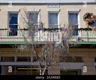 Restos de cordones de Mardi Gras que cuelgan de un árbol en Dauphin Street en Mobile, Alabama Foto de stock
