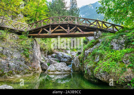 Puente de madera sobre el arroyo en montañas de Olympus. Prionia, Grecia Foto de stock