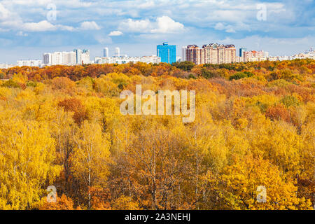 Vista anterior del parque en la ciudad de amarillo soleado día de otoño