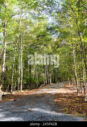 Las carreteras que conducen a una propiedad privada cubierta con hojas caídas durante el otoño.