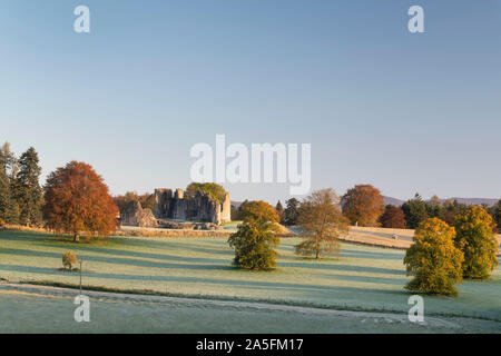 Las ruinas del castillo de Kildrummy en Aberdeenshire vistos a través de zonas verdes abiertas en una helada mañana de octubre Foto de stock