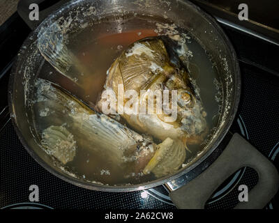 Una carpa hervida cabeza flota en caldo de pescado en una olla Fotografía  de stock - Alamy