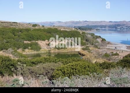 Sitio de Bodega Bay propuesta planta de energía nuclear, llamado localmente "el agujero en la cabeza" en California, USA.
