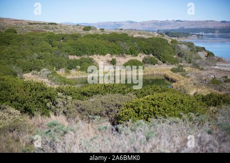 Sitio de Bodega Bay propuesta planta de energía nuclear, llamado localmente "el agujero en la cabeza" en California, USA.