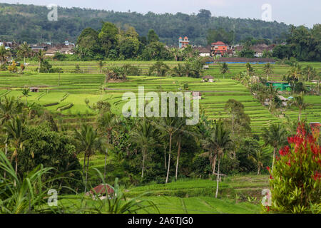 Campos de arroz verdes Jatiluwih en Bali, Indonesia, son patrimonio de la humanidad por la UNESCO, es uno de los lugares recomendados para visitar en Bali con vistas espectaculares Foto de stock