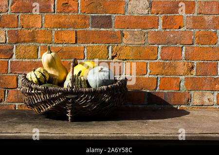 Una cesta de mimbre de calabazas y calabazas fuera en el sol junto a una pared de ladrillo rojo detrás. La cesta de la compra está a la izquierda de la imagen.