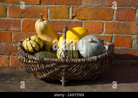 Una cesta de mimbre de calabazas y calabazas fuera en el sol junto a una pared de ladrillo rojo detrás