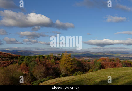La vista al norte de la colina Finavon hacia el Angus Glens en un día claro, brillante con el follaje del árbol comienza a mostrar sus colores de otoño. Foto de stock
