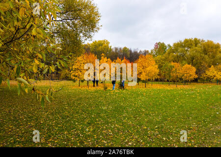 Vista panorámica del parque de la ciudad con la caída del follaje multicolor en el centro de Minsk, Bielorrusia