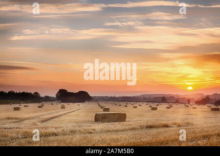 Precioso atardecer sobre el heno bails y cultivos de trigo. Orange sunburst nubes a través de un paisaje rural