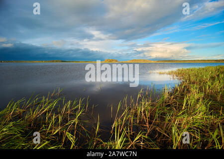 Paisaje otoñal en lago Peno, oblast de Tver, Rusia Foto de stock