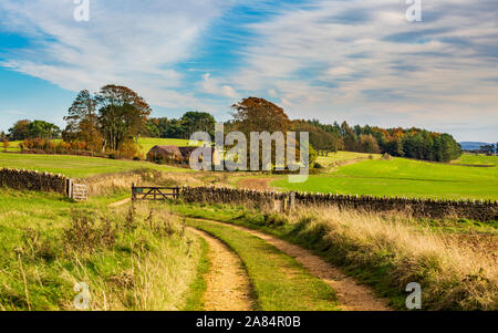Pista que conduce a una granja en Bredon Hill en los Cotswolds, Inglaterra Foto de stock