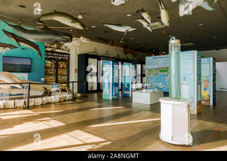 Alborania Aula del Mar, Museo Marítimo en el puerto deportivo situado en el interior del Puerto de Málaga, Andalucía, España. Foto de stock