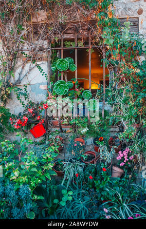 Rica flora en la fachada de un edificio antiguo - macetas con flores en la ventana Foto de stock