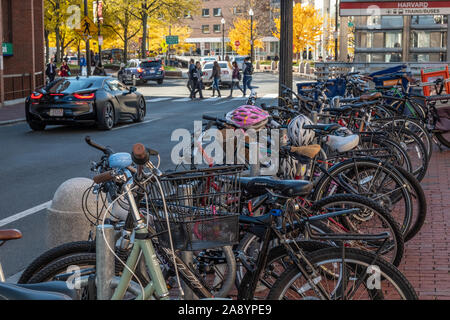 Bicicletas para alquilar en Harvard Square Foto de stock