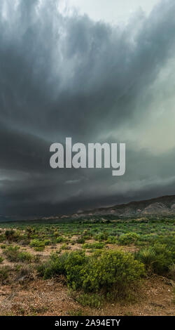 Nubes dramáticas de tormenta oscura sobre matorrales; Marathon, Texas, Estados Unidos de América