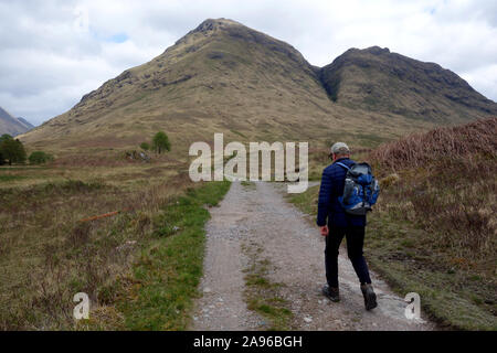 Hombre solitario caminando por una pista hacia la montaña escocés Corbett Stob Dubh (Beinn Ceitein) en Glen Etive, Scottish Highlands, Escocia, Reino Unido. Foto de stock
