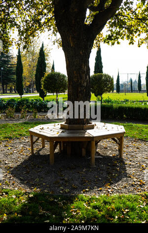 Parque que rodea el Chateau Mukhrani Palace en otoño, viaje en Georgia Foto de stock