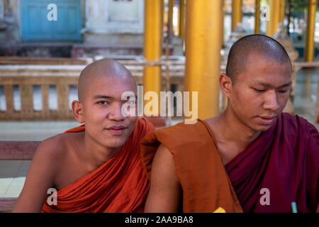 Dos jóvenes monjes budistas recitar oraciones en un monasterio en Myanmar (Birmania) durante un día santo budista Foto de stock