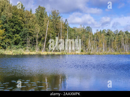 Vista sobre el lago Jezioro Francuskie (Francés) Reserva Natural Dylewo colinas parque paisajista, Ostroda County en Polonia