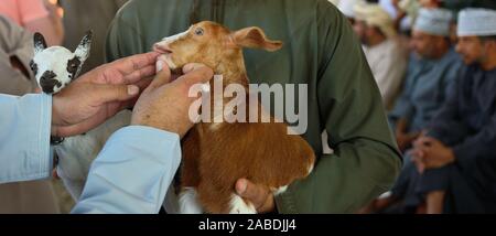 Concurrido mercado día en el bazar de animales, cabra subasta en Nizwa, Omán. Foto de stock