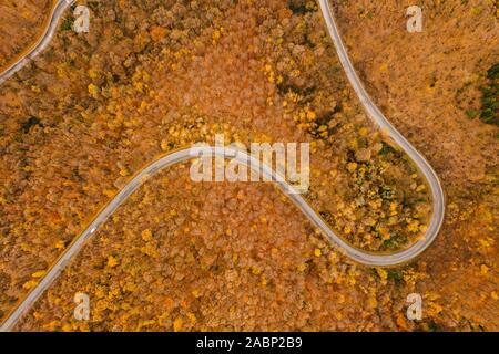 Vista aérea del bello otoño forest road Foto de stock