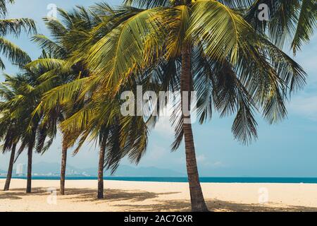 Los cocoteros en la orilla de la mar azul, en un día soleado con nubes blancas en el cielo, la isla, un lugar para relajarse Foto de stock