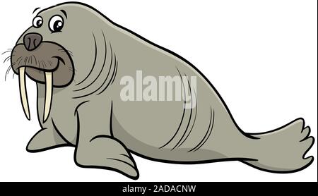 La morsa animal salvaje personaje cartoon ilustración Fotografía de stock -  Alamy