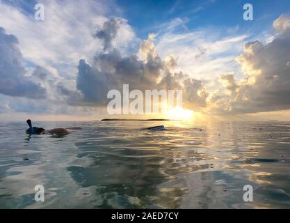 Hombre snorkeling en el océano con la hermosa puesta de sol en el fondo, las nubes y el sol reflejado en el agua. Paisaje con un cielo azul y vibrante atardecer Foto de stock