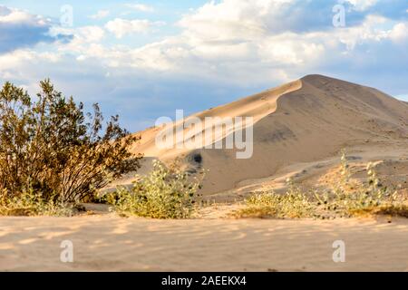 Luz dorada en Kelso Dunas al atardecer en el desierto de Mojave, el Mojave National Preserve, California, EE.UU.