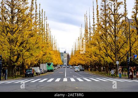 Otoño con los árboles ginkgo en Tokio