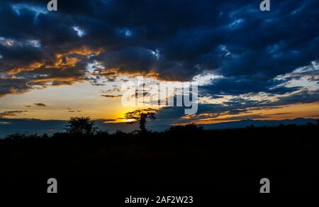 Siluetas de árboles en el horizonte al amanecer bajo un espectacular cielo con nubes oscuras en el Parque Nacional Queen Elizabeth, Región Occidental, Uganda