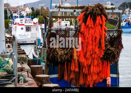 La descarga de algas rojas, puerto pesquero de Saint-Jean de Luz, Pirineos Atlánticos, Francia