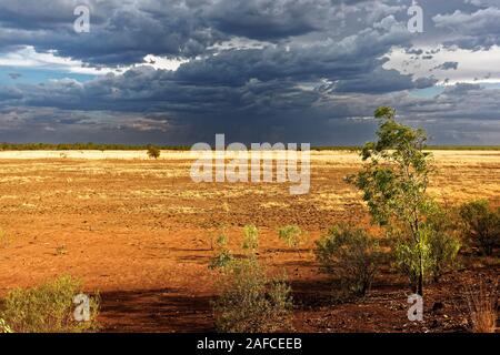 Paisaje de sabana con cielo tormentoso, West Kimberley, Australia Occidental Foto de stock