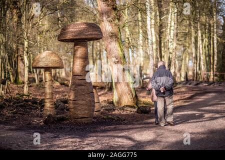 Las personas, las parejas se puede disfrutar de un paseo por la hermosa finca de Nuevos Ministerios, los jardines Trentham en Stoke on Trent, Staffordshire